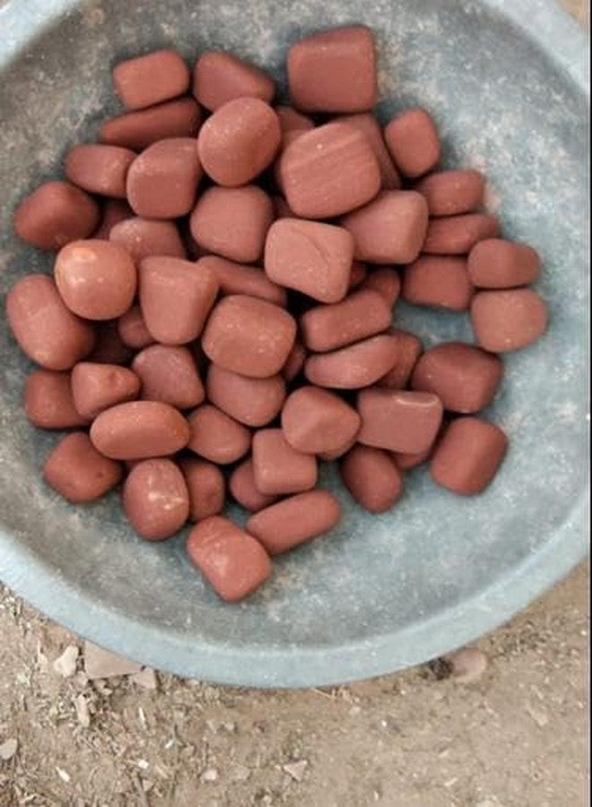 Bum Bum Bhole 2Kg Pebbles for Garden Decor Plant Home Decor Backyard Patio Pathway Indoor and Outdoor Gravel Soil Stone Pebbles Decoration Fish Tank Substrate Size - 1.5"- 3" - Image 4